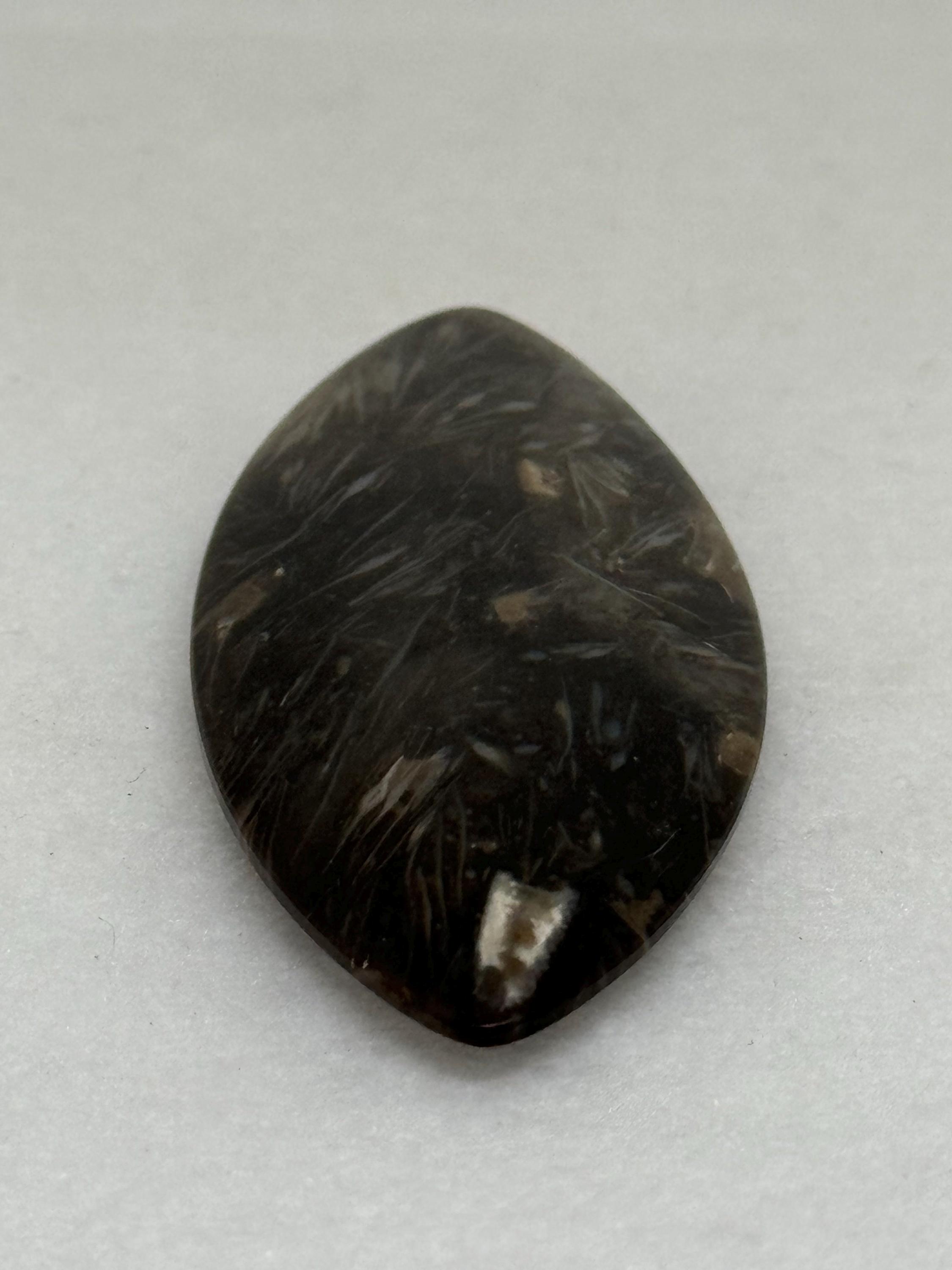 マーキス型のパームルート マーキス型のパームルート パームルートフォッシルブレス・シンプル