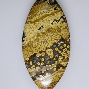 Amazing colorful Ocean Jasper marquise shaped bead, 81.49 carats     046-017-001