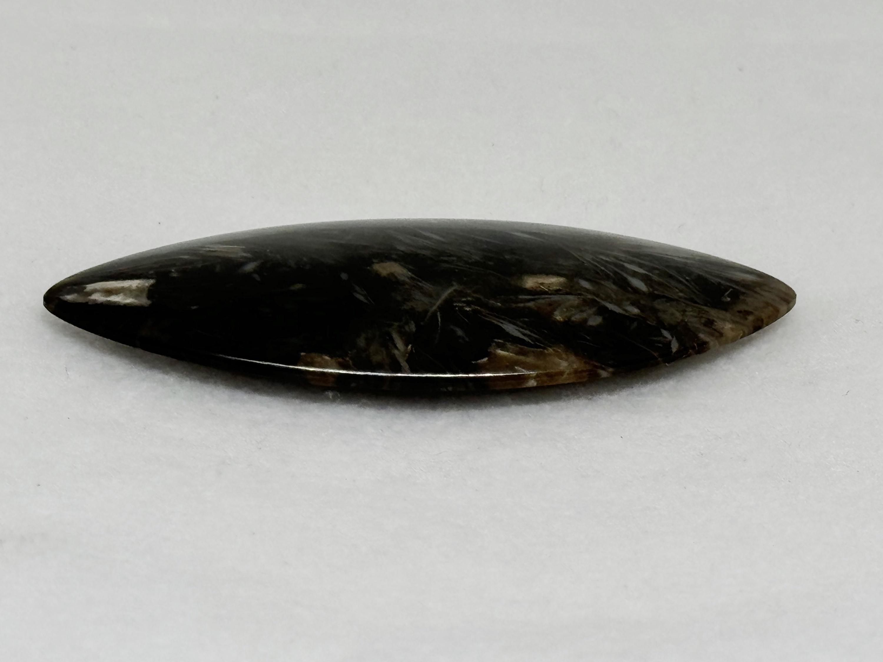 マーキスシェイプのパームルートアゲートカボション、豊富な模様、豊か