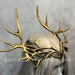 see more listings in the Headpieces & Crowns section