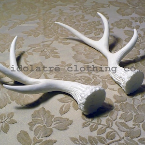 Unpainted 6 Point Antlers