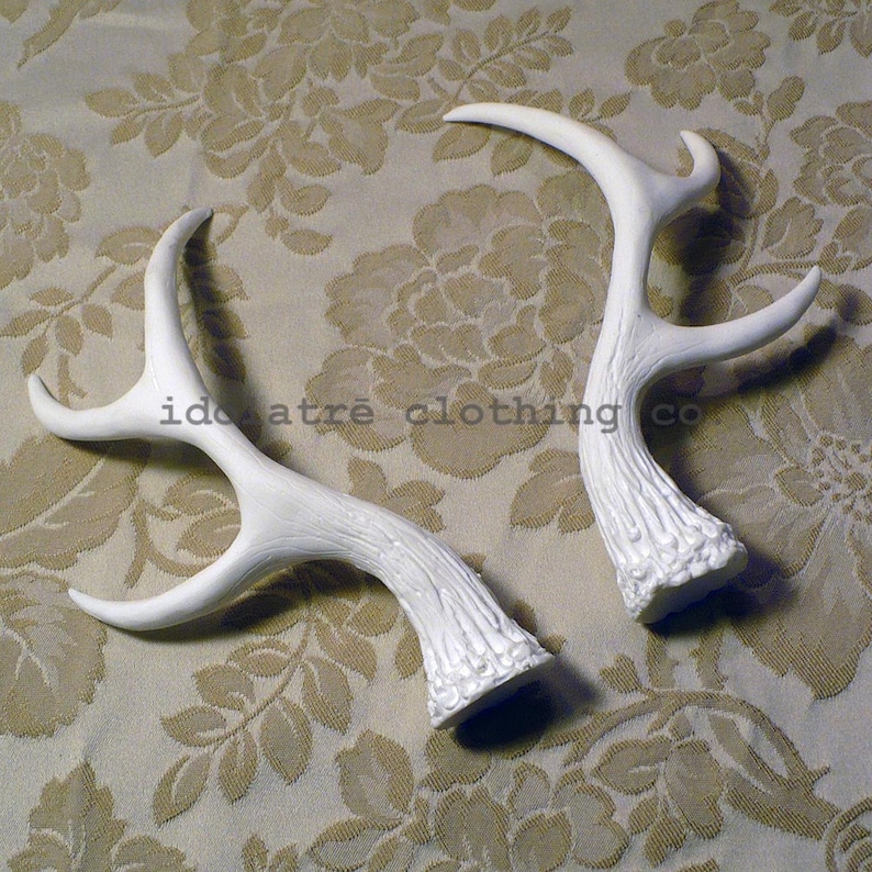 Unpainted 6 Point Antlers image 3