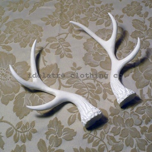 Unpainted 6 Point Antlers image 2