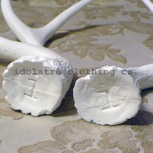 Unpainted 6 Point Antlers image 4