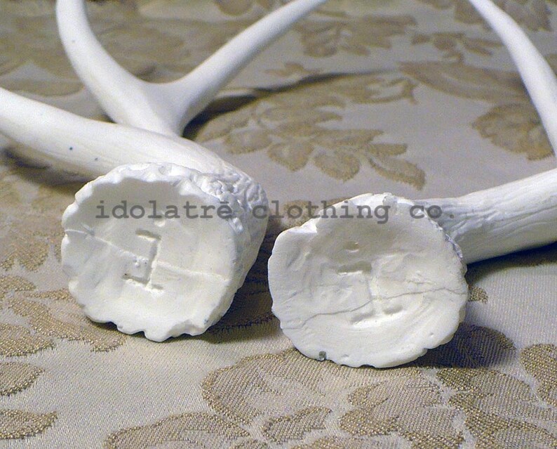 Unpainted 6 Point Antlers image 4