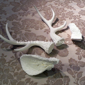 Unpainted 6 Point Antlers and Ears