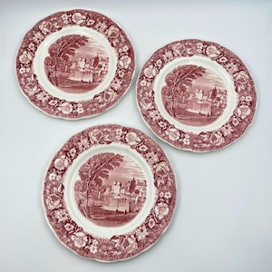 Könnte beinhalten: Drei antike Keramikteller mit einem bordeauxroten und weißen Blumendesign. Jeder Teller zeigt eine zentrale Landschaftsszene mit einem Baum, Gebäuden und Wasser. Die Teller haben einen gewellten Rand.