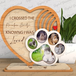 Cadre photo personnalisé chat commémoratif Svg, cadeaux commémoratifs pour animaux de compagnie, famille chat cadre Svg, signe de perte d'animal de compagnie SVG, signe commémoratif de chat, fichiers Glowforge Svg