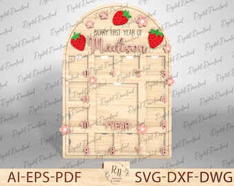 Personalized Baby Picture Frame Lasercut, My First Year Photo Frames Cut File Svg, Newborn Stats Frame, New Baby Chart, Wall Hanging Frame