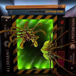 May include: Two green alien creatures with multiple legs are displayed in a black and yellow striped frame with a green light behind them. The frame is sitting on a bookshelf with several books visible, including "Insurgent" by Veronica Roth and "Boyracers" by Alan Bissett.