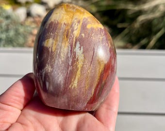 Freeform Petrified Wood: Ancient Wisdom, Grounding Stone, Home Decor