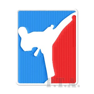 Écusson thermocollant pour taekwondo, karaté, kick-boxing, insigne brodé d'arts martiaux