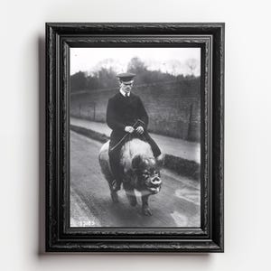 Whimsical Vintage Rider on Pig Digital Art Print - Unique Historical Black and White Illustration High-Resolution Image for Home Decor