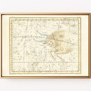 Vintage Taurus Sternkarte, antike Astronomie Sternbild Karte ArOrion, Auriga, Perseus, Gemini, Widder Dekor, digitaler Download, 20 Größen