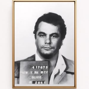 May include: Black and white mugshot of a man with short dark hair. The mugshot is framed in gold and has the text "417073 NEW YORK CITY POLICE 2051" on a white background.