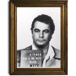 May include: Black and white mugshot of a man with dark hair and a serious expression. The mugshot is framed in a gold frame. The text on the mugshot reads "417073 NEW YORK CITY POLICE 2051".