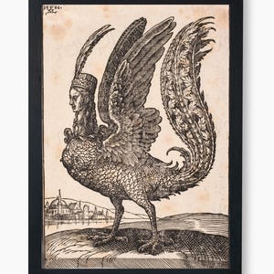 May include: A black and white woodcut print of a mythical creature with a human head and a bird's body. The creature has wings and a long tail with feathers. The print is framed in a black frame.