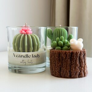Kaars sappige cactussen, handgemaakte kaarsen in een glas met cactus, koolzaadkaarsen, bloesemkaarsen, bloemkaarsen, cadeau-idee, verjaardagscadeau
