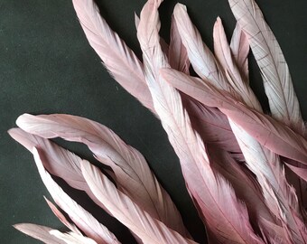 pink T COQUE TAIL FEATHERS Loose Cotton candy 15