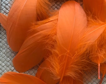 SERENA GOOSE Feathers Loose, Carrot Orange / SR - 20