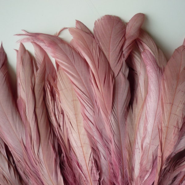 RUSTICA de COQUE plumas / Vintage francés rosa rosa / 1316