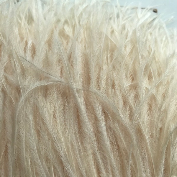 VOGUE OSTRICH FRINGE True Ivory / 302