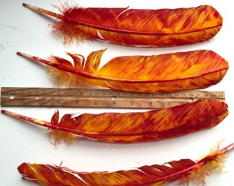 TURKEY QUILL, Orange and Yellow, Fire, 4 pieces   /  Q - 5