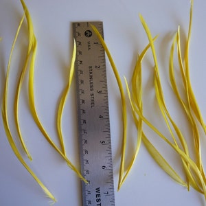 GOOSE BIOT FEATHERS / Canary Yellow / 727 image 3