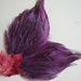 see more listings in the PURPLE and FUCHSIA section