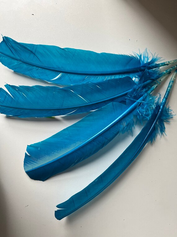 TURKEY QUILL Peacock Blue 4 Pieces Q 41 Etsy