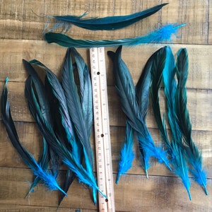 COQUE TAIL FEATHERS Loose / Iridescent, peacock blue / 817 image 7