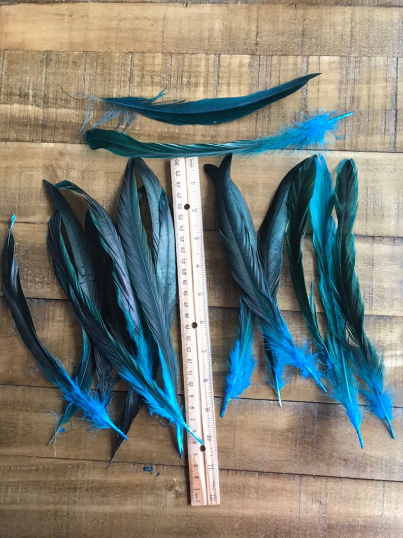 COQUE TAIL FEATHERS Loose / Iridescent, peacock blue / 817 image 7