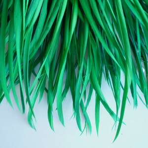 GOOSE BIOT FEATHERS, Kelly Green / 731 image 2