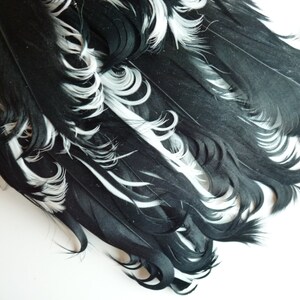 FEATHER PAD / Curled Nagoire , Black and White / 117 image 4