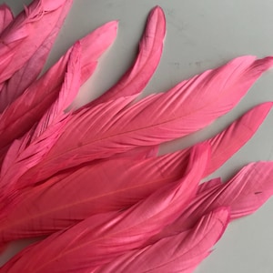 BELLISSIMA Schwanzfedern lose / Satin Flamingo Pink / T - 12