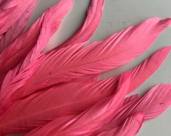 BELLISSIMA Tail Feathers  Loose /  Satin Flamingo Pink / T - 12
