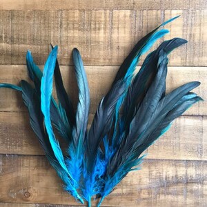 COQUE TAIL FEATHERS Loose / Iridescent, peacock blue / 817 image 5