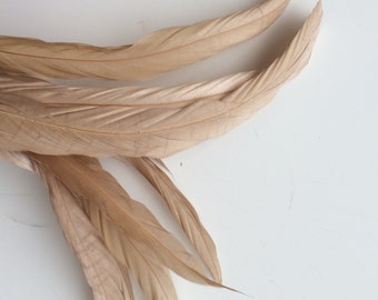 COQUE Tail Feathers,  Loose / Beige, Oatmeal / 198