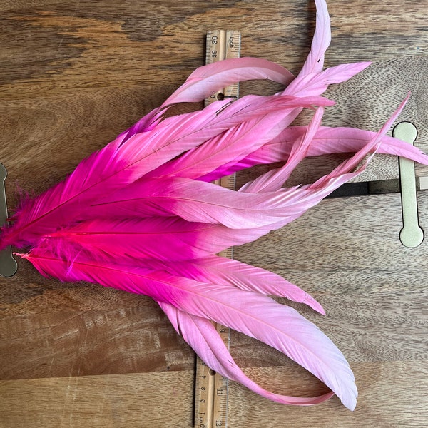 COQUE Tail Feathers,  Loose / Pink Fuchsia Ombre / 208