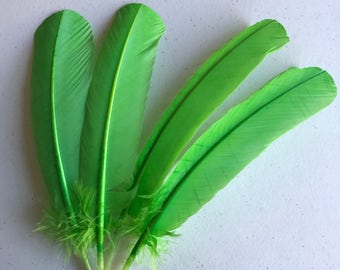 TURKEY QUILL, Apple Green , 4 pieces / Q-20