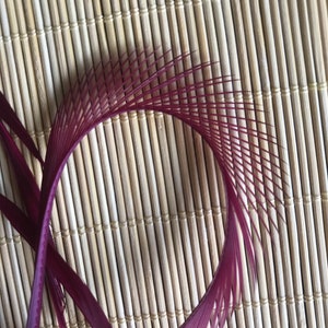 GOOSE BIOT Feathers, Dark Raspberry, wine red, merlot/ 746 image 2