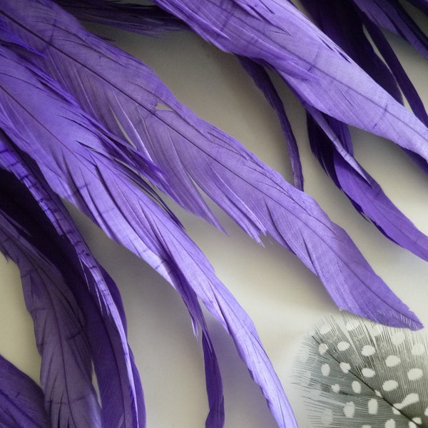 Lavender Feathers Etsy