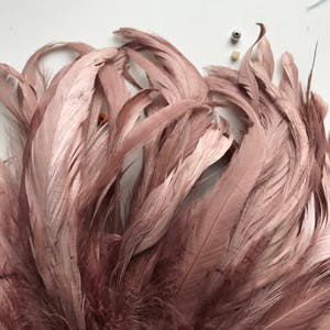 RUSTICA COQUE FEATHERS / Antique Pale Mauve, Ashy Pink / 215 image 2