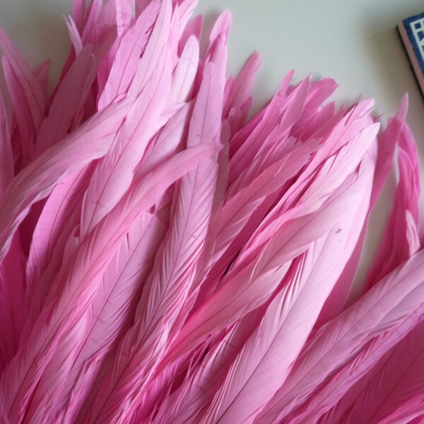 COQUE TAIL FEATHERS Loose / Sweetheart, Cotton Candy  Pink, 11" long  / 217