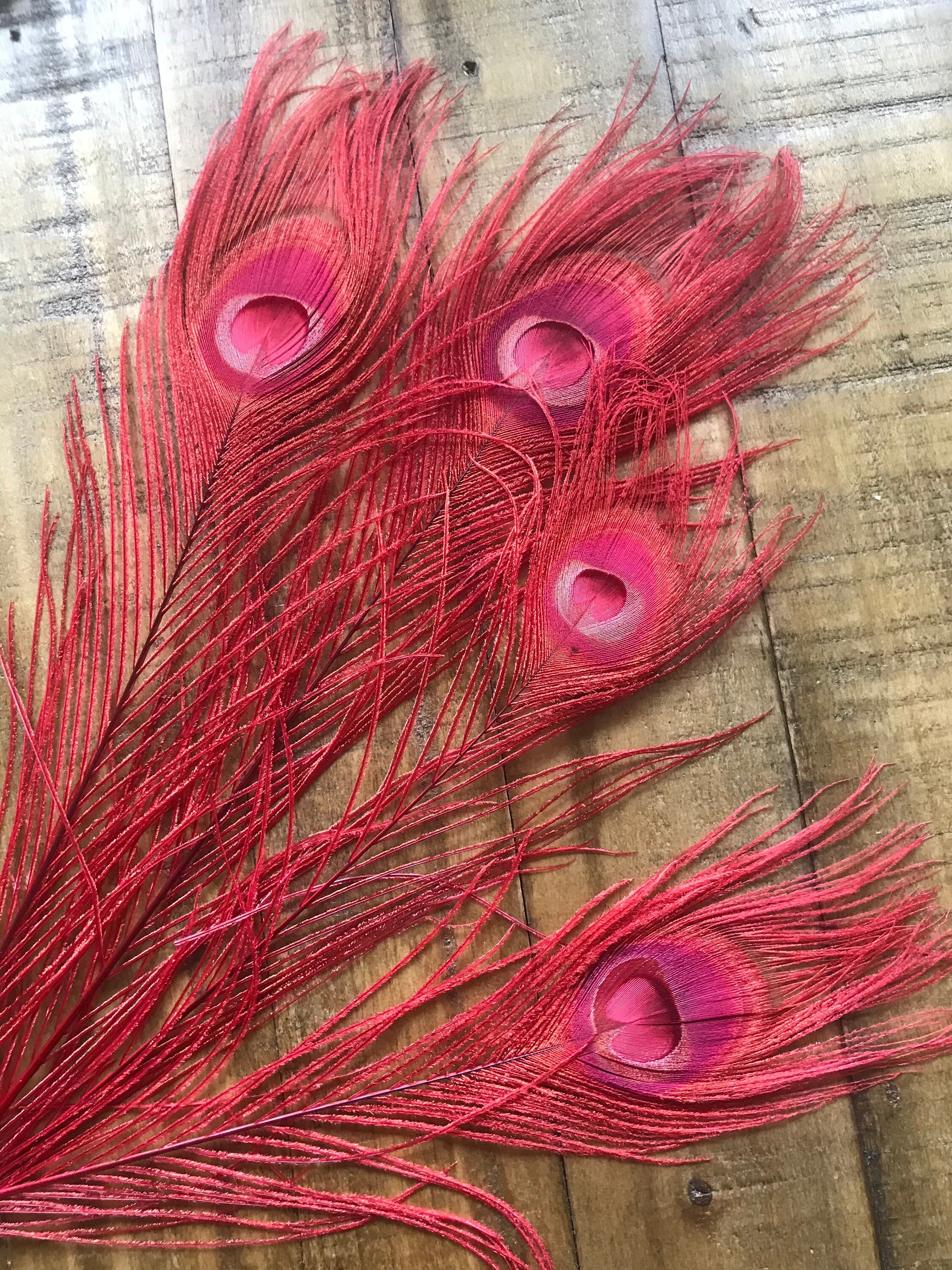 Natural Pheasant Peacock Feathers For Crafts Jewelry Making Accessories  Decoration Plumes 5-15Cm 20/50/100Pcs Red 50