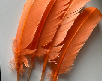 TURKEY QUILL,  Papaya Pink, orange , 4 pieces / Q-42