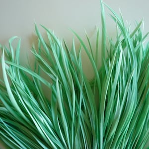 GOOSE BIOT FEATHERS, Caribbean, Mint Green / 726 image 1