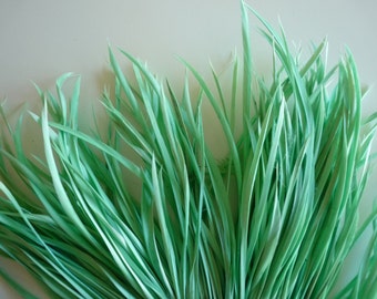 GOOSE BIOT FEATHERS, Caribbean,  Mint  Green / 726