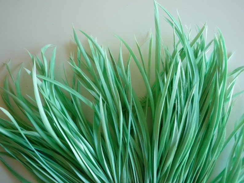 GOOSE BIOT FEATHERS, Caribbean, Mint Green / 726 image 1