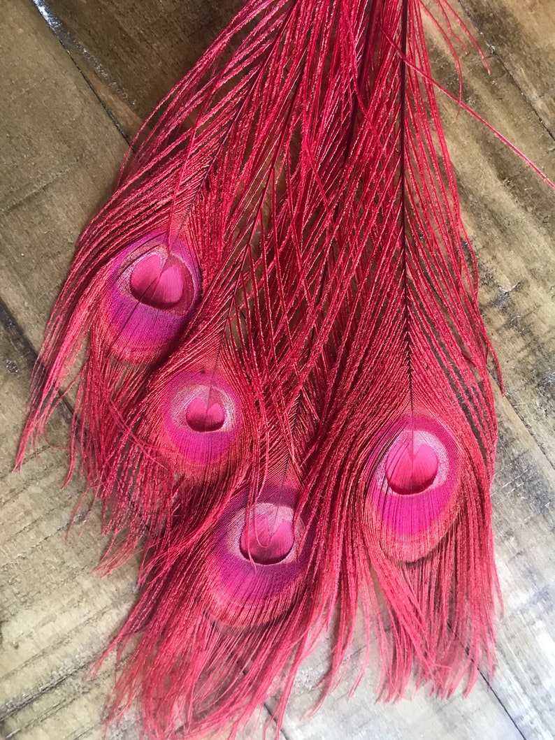 BLEACHED PEACOCK FEATHERS 4 Pieces Iridescent Color Rust Etsy